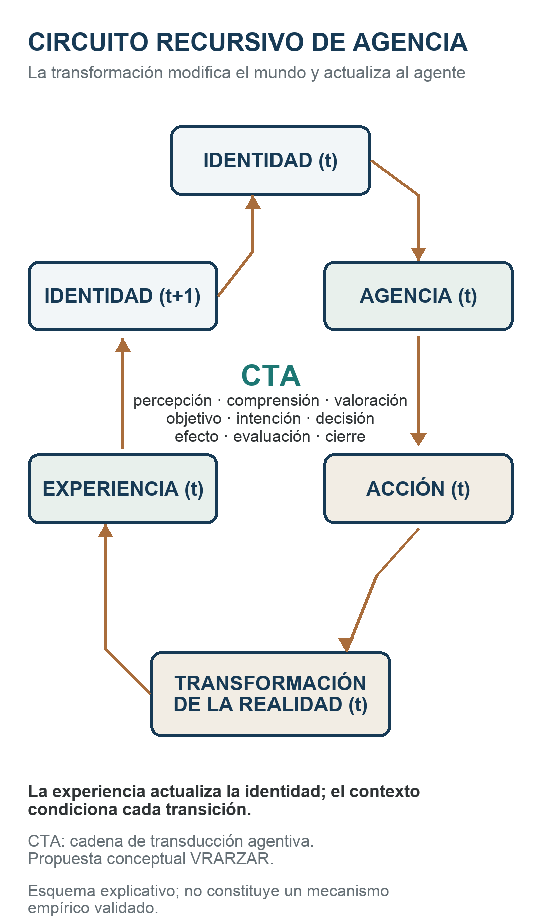 Circuito recursivo en el que identidad influye en agencia; agencia organiza acción; acción interactúa con la realidad; el resultado se convierte en experiencia; y la experiencia actualiza la identidad. El contexto condiciona todas las transiciones.